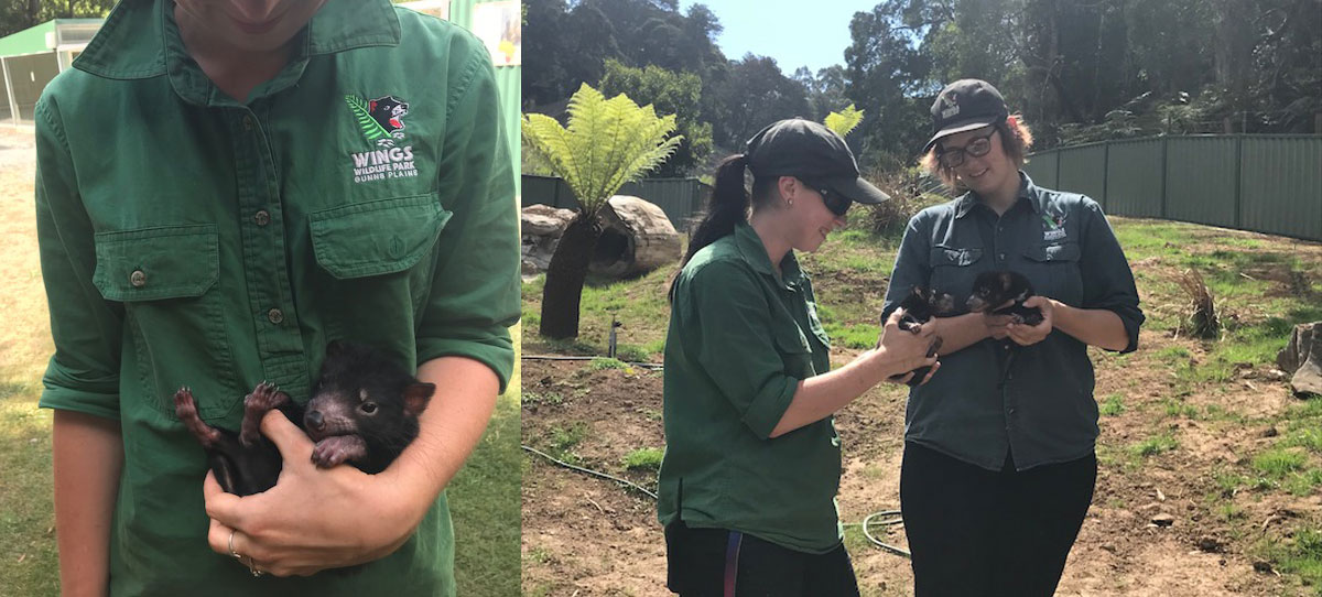 Objetivos semana oceánica