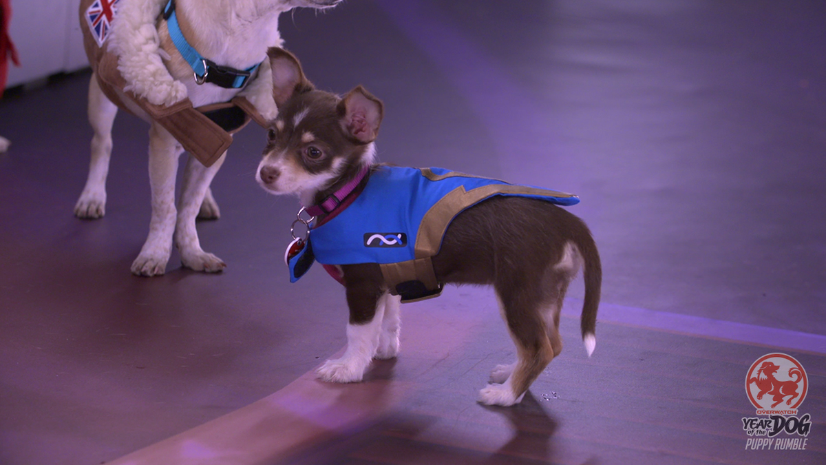 Overwatch League | Blizzard Entertainment