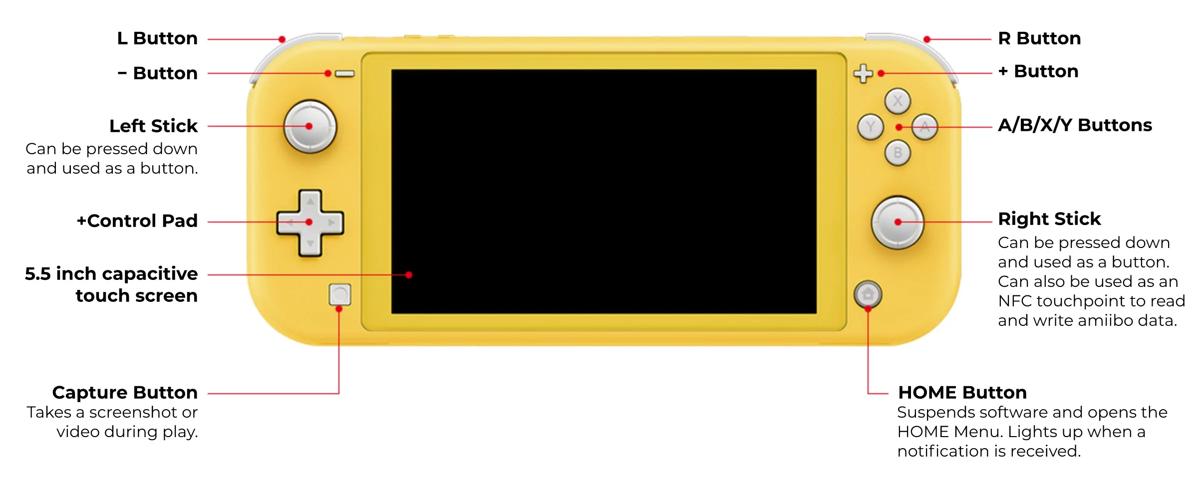 Nintendo Switch Lite (vía Nintendo Life)