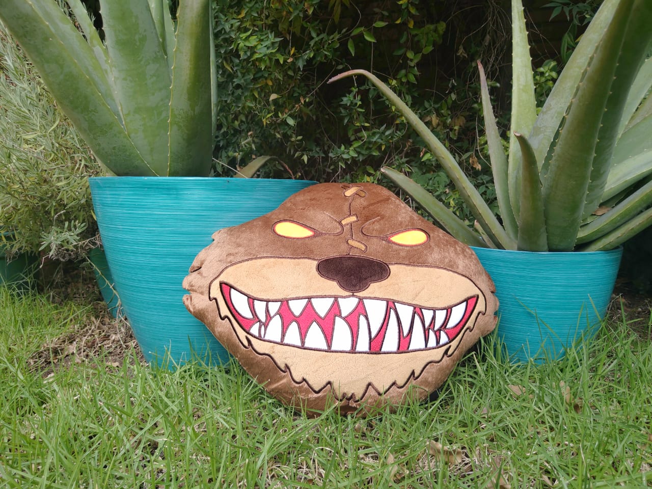 Peluche